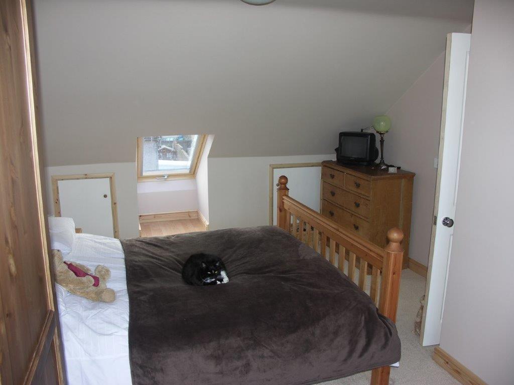 Loft Conversions cat on bed in Bristol